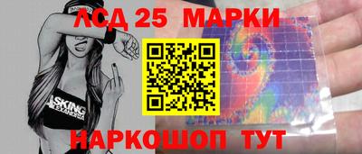 индика Сланцы