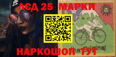 индика Сланцы