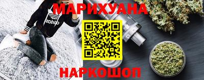 сатива Славгород