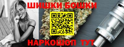 индика Сланцы
