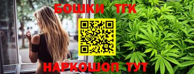 индика Сланцы