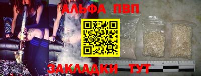 индика Сланцы