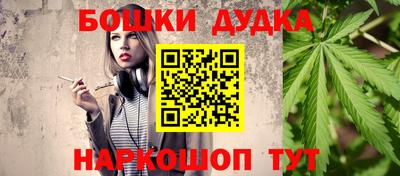 индика Сланцы