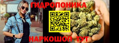 индика Сланцы