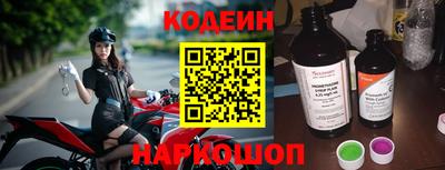 индика Сланцы