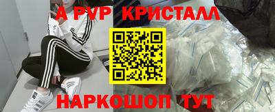 сатива Славгород