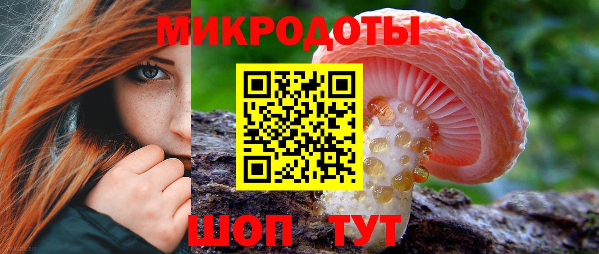 Галлюциногенные грибы Psilocybine cubensis Ногинск