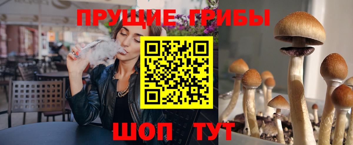 Псилоцибиновые грибы GOLDEN TEACHER  Вход с VPN  Ногинск 