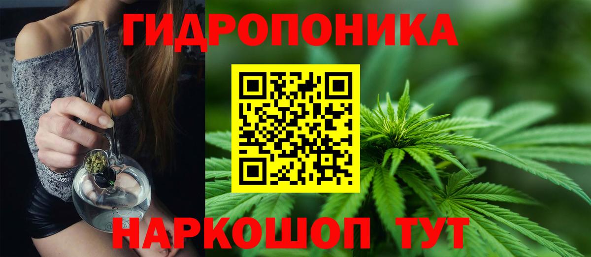 Ногинск  Каннабис сатива  Каннабис конопля  Вход с VPN  МАРИХУАНА LSD WEED  Бошки марихуана OG Kush 